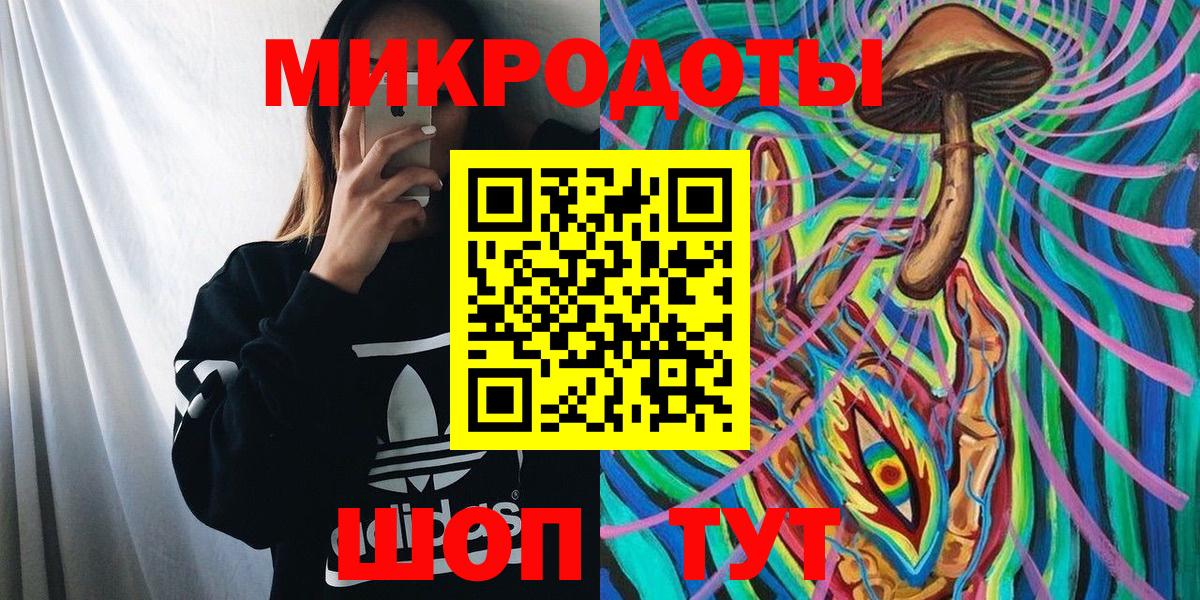 Псилоцибиновые грибы Cubensis Шатура