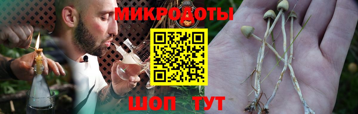 Галлюциногенные грибы Psilocybe  Вход с VPN  Шатура  Псилоцибиновые грибы ЛСД 